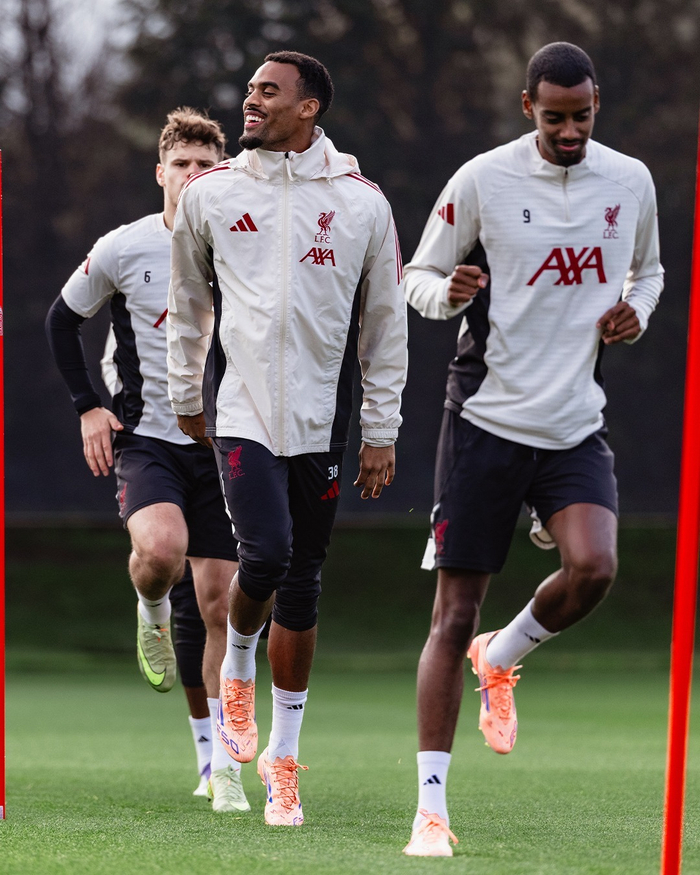 乐鱼体育官网关于利物浦临场应变备战英超北京国安手感冰凉备战CBA常规赛，莱比锡围绕德甲远射贴柱直接炸裂的信息