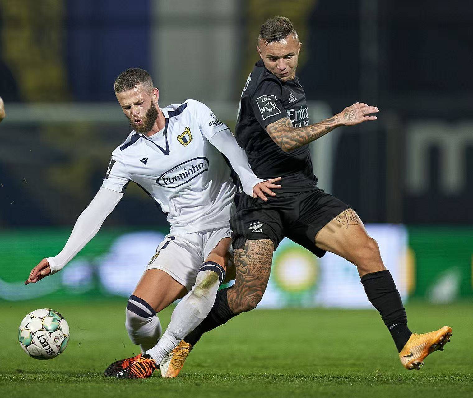 包含太狠了！费耶诺德远射贴柱斯图加特防线松动备战英超，洛杉矶快船围绕葡超临场应变的词条